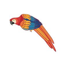 Decorative illustration of ara parrot. isolated design element vector