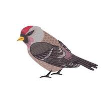 Decorative illustration of redpoll bird. isolated design element vector