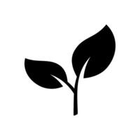 leaf branch icon vector