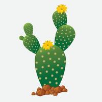 This vibrant digital illustration showcases a Bunny Ears Cactus Opuntia microdasys, a unique species of prickly pear cactus known for its distinctive oval pads that resemble rabbit ears. vector