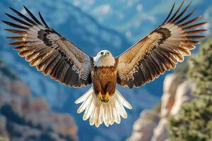 Majestic Eagle Soaring Through Azure Skies Wings Spread Wide photo