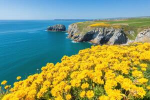 Coastal cliffside adorned with vibrant yellow wildflowers overlooking the tranquil blue waters of the ocean in bright sunlight photo