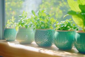 Sunlit indoor garden featuring potted herbs and handmade pottery on a cheerful windowsill photo