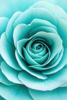 Dramatic close-up of a teal rose showcasing intricate petals and a beautiful color gradient against a soft focus background photo