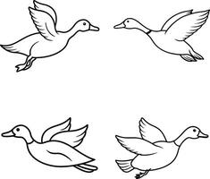Duck Outline Drawing Set Black and White Cartoon for Coloring vector