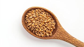 A wooden spoon filled with wheat seeds photo