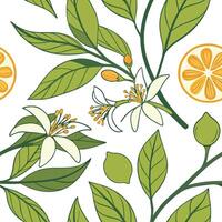Vibrant Lemon Blossoms and Fruit Seamless Pattern Design Botanical Illustration vector