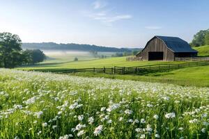 Barn sitting on a hill overlooking a field of daisies and a misty valley photo
