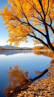 Golden autumn tree reflecting in a calm lake with mountains in the background photo