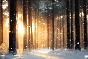 Snow falling in the forest at sunset creating a magical atmosphere photo