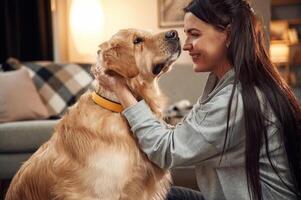 Side ,,view. Having fun, embracing. Woman is with golden retriever dog at home photo