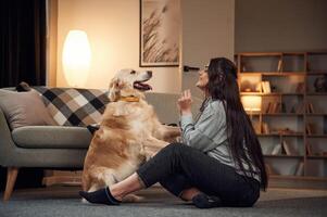 Playing, doing tricks. Woman is with, golden retriever dog at home photo