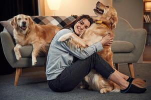 Embracing and, having fun. Woman, is with two golden retriever dogs at home photo