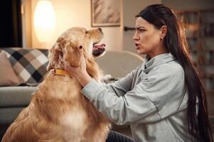 Side view. Having fun, embracing. Woman is with, golden retriever dog at home photo