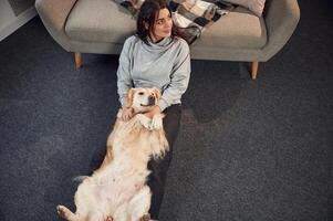 Top view. Animal is lying down, happy. Woman is with golden retriever dog at home photo
