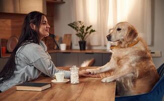 Holding the paw that is on the table. Woman is with golden retriever dog at home photo