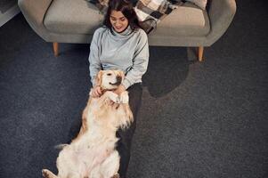 Top view., Animal is lying down, happy. Woman is with golden retriever dog at home photo