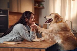 Side view., Sitting by the table together. Woman is with golden retriever dog at home photo