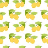 Flat Style Seamless Pattern Featuring Yellow Lemons with Green Leaves on a White Background vector