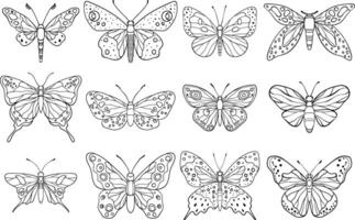 A illustration of line art butterflies with intricate wing patterns, showcasing a variety of artistic and natural designs vector