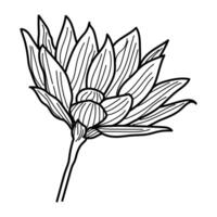 Abstract flower in one line art drawing style. Black line sketch on white background. vector