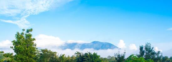 White clouds drifting over forests and mountains photo