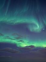 Northern lights Aurora borealis in the night sky. Dancing Aurora photo
