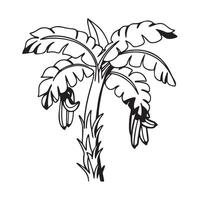 Banana tree, line art illustration on white background vector