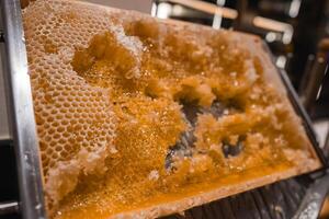 A honeycomb frame on a metal stand, showing intact and harvested sections. Golden honey glistens under soft lighting, with a blurred modern interior. photo