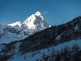 The Matterhorn mountain stands illuminated under a clear blue sky, surrounded by snow covered slopes and sparse leafless trees in Cervino Ski Paradise. photo