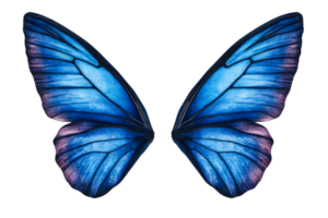 Blue butterfly wings with detailed patterns on transparent background png