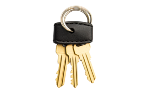 Keys on a black keychain with a transparent background png