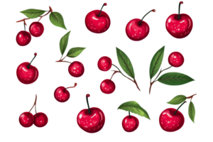 Red cherries on a transparent background for design projects png