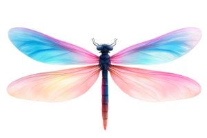 Colorful dragonfly with transparent wings and vibrant details png