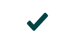 Checkmark symbol on a transparent background for design usage png