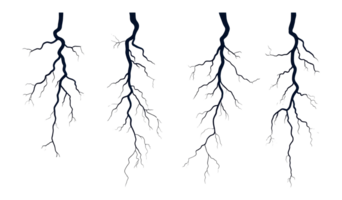 Dark tree branches with a transparent background for design use png