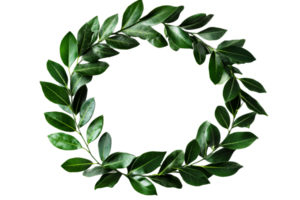 Fresh green leaf wreath on a transparent background for decoration png