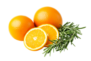 Fresh oranges with rosemary on a transparent background png