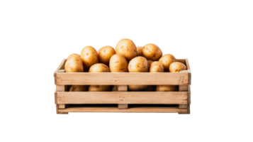 Potatoes in wooden crate, uncooked food concept, raw isolated , cut out transparent png
