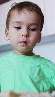 Adorable toddler having meals. Kid holds the fork but eats from mom's spoon. Low angle view. Vertical video