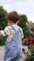 Baby toddler running around the beautiful flower bed in the park. Little boy having good active time in summer outside. Vertical video