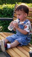 kaukasisch Kleinkind Trinken Wasser von ein Flasche. Kind sitzt ruhen auf das hölzern Bank im das Park im Sommer. Vertikale video