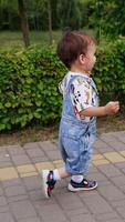 Pretty little Caucasian boy running by the paved road. Active toddler spending leisure time in park in summer. Vertical video