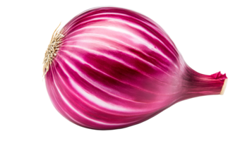 Fresh red onion with layers, close-up, isolated, studio shot, cut out transparent png