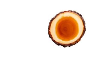 Cross-section of a tree trunk with annual rings and bark, cut out transparent png