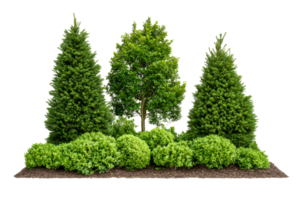 Lush garden design featuring trees and bushes, cut out transparent png