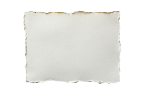Piece of rough paper with ragged edge texture on black background, cut out transparent png