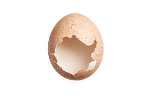 Cracked speckled eggshell fragment, empty hole inside, cut out transparent png