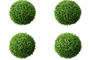 Green spherical bushes with transparent background for design use png