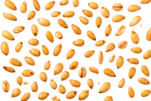 Golden Flax Seeds isolated on black background, cut out transparent png